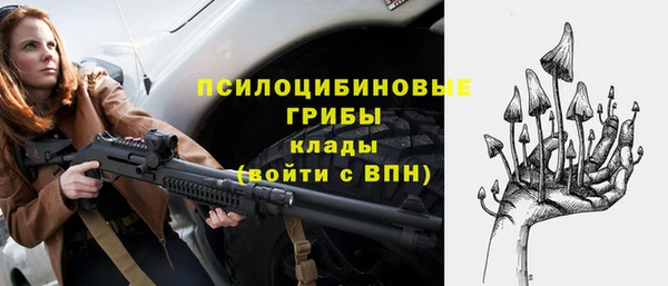ешки Медвежьегорск