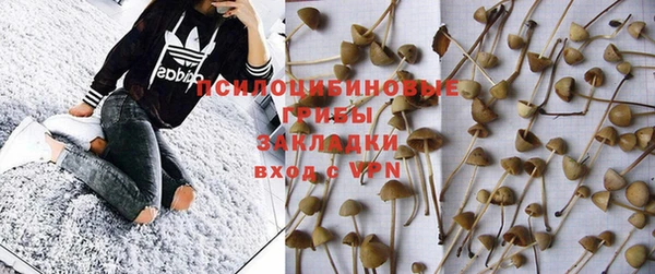 ешки Медвежьегорск