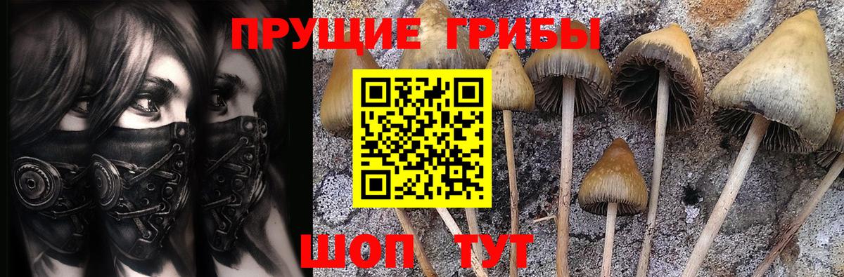 Псилоцибиновые грибы Psilocybe  Псилоцибиновые грибы Magic Shrooms  Нижневартовск  Вход с VPN 